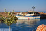 Sykaminia - Skala Sykaminia | Lesbos | Greece  31 - Photo JustGreece.com