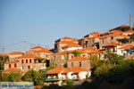 Sykaminia - Skala Sykaminia | Lesbos | Greece  33 - Photo JustGreece.com
