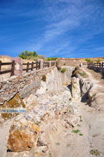 JustGreece.com Petrified forest near Sigri | Lesbos Greece | Photo 3 - Foto van JustGreece.com