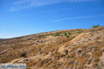 JustGreece.com Petrified forest near Sigri | Lesbos Greece | Photo 10 - Foto van JustGreece.com