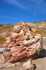 Petrified forest near Sigri | Lesbos Greece | Photo 17 - Photo JustGreece.com