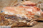 Petrified forest near Sigri | Lesbos Greece | Photo 18 - Photo JustGreece.com