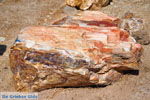 Petrified forest near Sigri | Lesbos Greece | Photo 19 - Photo JustGreece.com