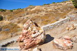 Petrified forest near Sigri | Lesbos Greece | Photo 20 - Photo JustGreece.com