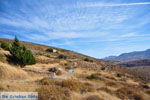 JustGreece.com Petrified forest near Sigri | Lesbos Greece | Photo 21 - Foto van JustGreece.com