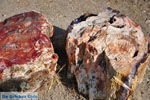 Petrified forest near Sigri | Lesbos Greece | Photo 23 - Photo JustGreece.com