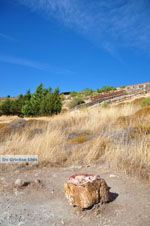 JustGreece.com Petrified forest near Sigri | Lesbos Greece | Photo 24 - Foto van JustGreece.com