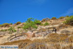 JustGreece.com Petrified forest near Sigri | Lesbos Greece | Photo 25 - Foto van JustGreece.com