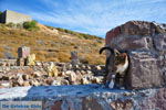 Petrified forest near Sigri | Lesbos Greece | Photo 28 - Photo JustGreece.com