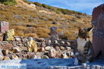 JustGreece.com Petrified forest near Sigri | Lesbos Greece | Photo 30 - Foto van JustGreece.com