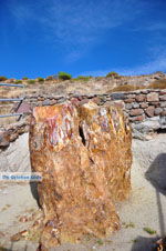 JustGreece.com Petrified forest near Sigri | Lesbos Greece | Photo 40 - Foto van JustGreece.com