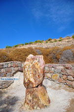 Petrified forest near Sigri | Lesbos Greece | Photo 42 - Photo JustGreece.com