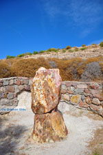 Petrified forest near Sigri | Lesbos Greece | Photo 43 - Photo JustGreece.com