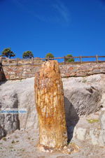 JustGreece.com Petrified forest near Sigri | Lesbos Greece | Photo 47 - Foto van JustGreece.com