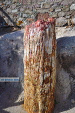 Petrified forest near Sigri | Lesbos Greece | Photo 49 - Photo JustGreece.com
