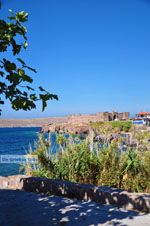 JustGreece.com Sigri Lesbos | Greece | Greece  021 - Foto van JustGreece.com