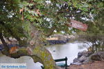Molyvos Lesbos | Greece | Greece  182 - Photo JustGreece.com