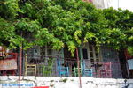 JustGreece.com Molyvos Lesbos | Greece | Greece  183 - Foto van JustGreece.com