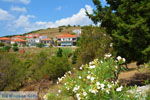 Agios Dimitrios Limnos (Lemnos)  | Greece | Photo 5 - Photo JustGreece.com