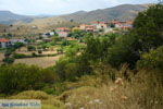 JustGreece.com Dafni Limnos (Lemnos) | Greece | Photo 20 - Foto van JustGreece.com