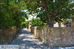 Livadochori Limnos (Lemnos) | Greece | Photo 13 - Photo JustGreece.com