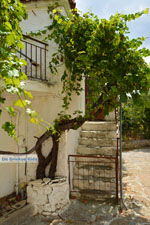 JustGreece.com Sardes Limnos (Lemnos) | Greece | Photo 10 - Foto van JustGreece.com