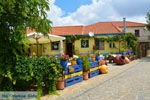 Sardes Limnos (Lemnos) | Greece | Photo 15 - Photo JustGreece.com