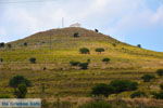 JustGreece.com Sardes Limnos (Lemnos) | Greece | Photo 21 - Foto van JustGreece.com