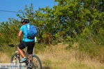 Fietsen on Limnos (Lemnos) | Greece Photo 11 - Photo JustGreece.com
