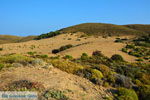 Amothines woestijn near Katalakos Limnos (Lemnos) | Photo 14 - Photo JustGreece.com