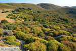 JustGreece.com Amothines woestijn near Katalakos Limnos (Lemnos) | Photo 16 - Foto van JustGreece.com