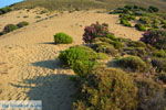 JustGreece.com Amothines woestijn near Katalakos Limnos (Lemnos) | Photo 20 - Foto van JustGreece.com