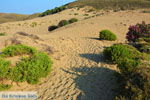 JustGreece.com Amothines woestijn near Katalakos Limnos (Lemnos) | Photo 21 - Foto van JustGreece.com