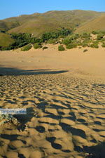 JustGreece.com Amothines woestijn near Katalakos Limnos (Lemnos) | Photo 32 - Foto van JustGreece.com
