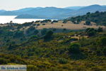 Near Gomati and woestijn Amothines Katalakos Limnos (Lemnos) Photo 2 - Foto van JustGreece.com