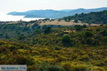 JustGreece.com Near Gomati and woestijn Amothines Katalakos Limnos (Lemnos) Photo 3 - Foto van JustGreece.com