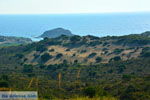 JustGreece.com Near Gomati and woestijn Amothines Katalakos Limnos (Lemnos) Photo 4 - Foto van JustGreece.com