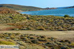 JustGreece.com Near Gomati and woestijn Amothines Katalakos Limnos (Lemnos) Photo 5 - Foto van JustGreece.com