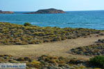 JustGreece.com Near Gomati and woestijn Amothines Katalakos Limnos (Lemnos) Photo 6 - Foto van JustGreece.com