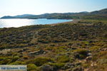 JustGreece.com Near Gomati and woestijn Amothines Katalakos Limnos (Lemnos) Photo 8 - Foto van JustGreece.com