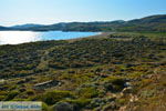 Near Gomati and woestijn Amothines Katalakos Limnos (Lemnos) Photo 9 - Photo JustGreece.com