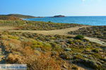 JustGreece.com Near Gomati and woestijn Amothines Katalakos Limnos (Lemnos) Photo 11 - Foto van JustGreece.com