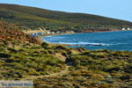 JustGreece.com Near Gomati and woestijn Amothines Katalakos Limnos (Lemnos) Photo 13 - Foto van JustGreece.com