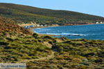 Near Gomati and woestijn Amothines Katalakos Limnos (Lemnos) Photo 13 - Photo JustGreece.com