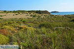 Near Gomati and woestijn Amothines Katalakos Limnos (Lemnos) Photo 15 - Photo JustGreece.com