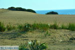 JustGreece.com Near Gomati and woestijn Amothines Katalakos Limnos (Lemnos) Photo 19 - Foto van JustGreece.com