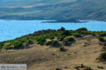 JustGreece.com Near Gomati and woestijn Amothines Katalakos Limnos (Lemnos) Photo 30 - Foto van JustGreece.com