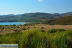 JustGreece.com Near Gomati and woestijn Amothines Katalakos Limnos (Lemnos) Photo 34 - Foto van JustGreece.com