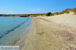 beach Megalo Fanaraki near Moudros Limnos (Lemnos) | Photo 16 - Photo JustGreece.com