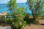 JustGreece.com beach Megalo Fanaraki near Moudros Limnos (Lemnos) | Photo 73 - Foto van JustGreece.com